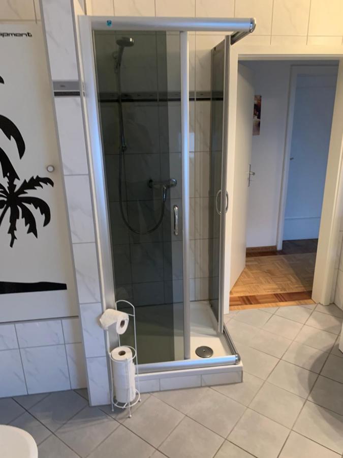 Mainpark Apartment 4 Schlafzimmer Bis Zu 10 Personen Direkt Ueber Aschaffapartment Bei Aschaffenburg Mainaschaff Bagian luar foto